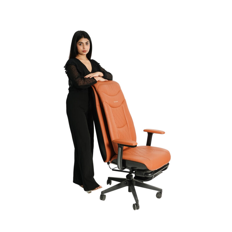 HCI The Founder Office Massage Chair