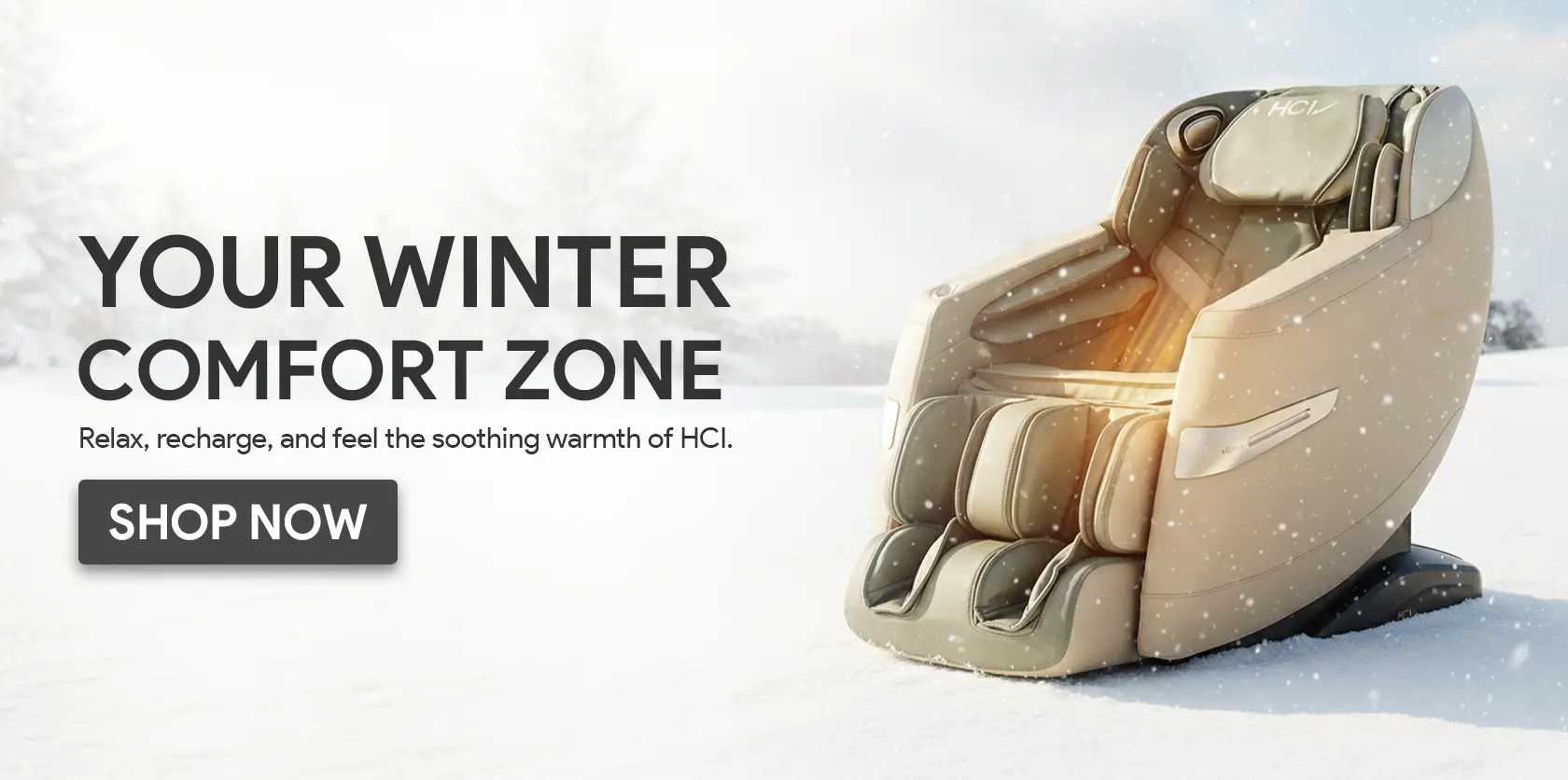 winter board2 massage chairs