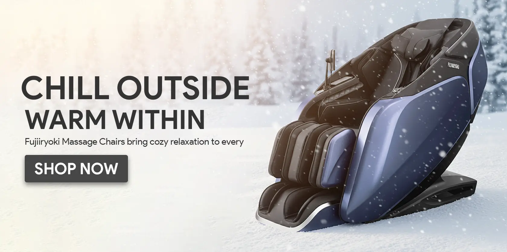 winter board3 massage chairs